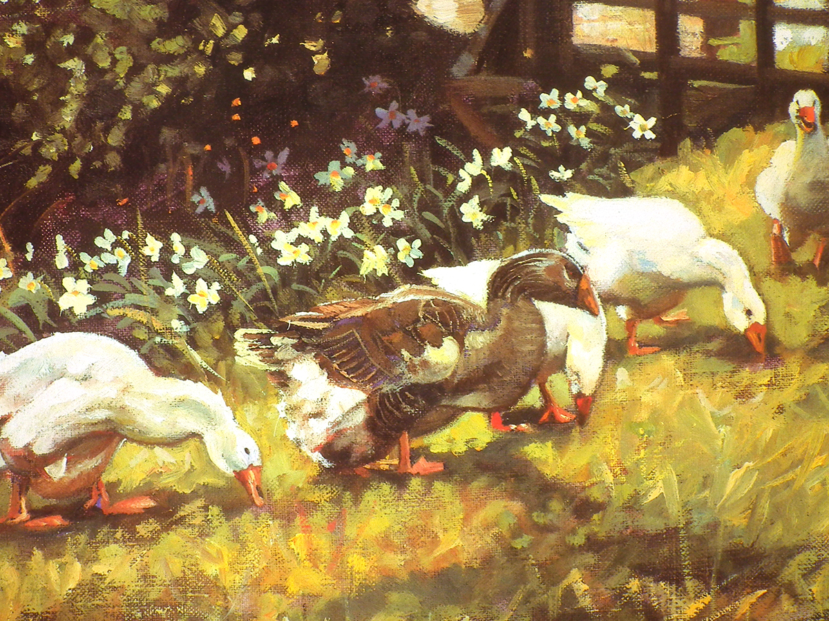 Geese - Saddleback Fine Art